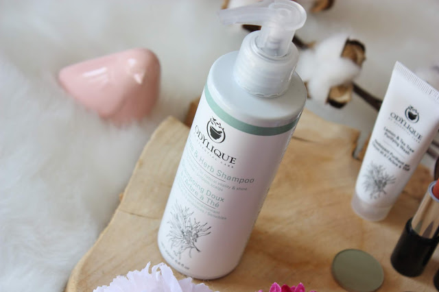 shampoing-purifiant-odylique