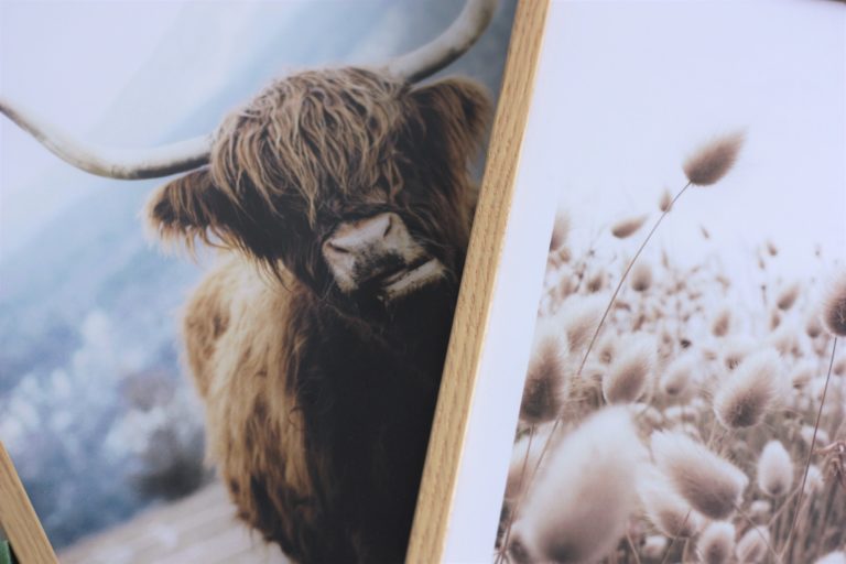 Mon avis sur Poster store et leurs affiches Nous les Nanas