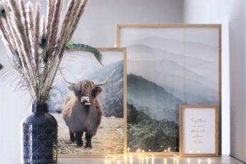 avis-affiches-poster-store