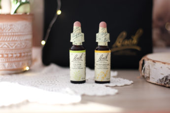 fleurs-de-bach-original