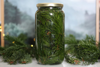 diy-spray-nettoyant-vinaigre-sapin