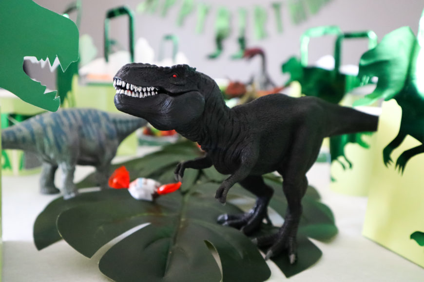 decoration-anniversaire-my-little-day